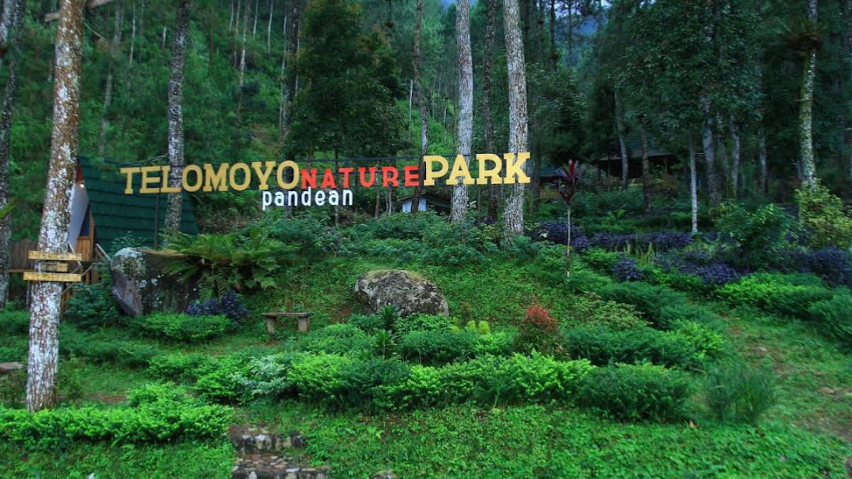 Telomoyo Nature Park: Pesona Alam dan Aktivitas Menarik